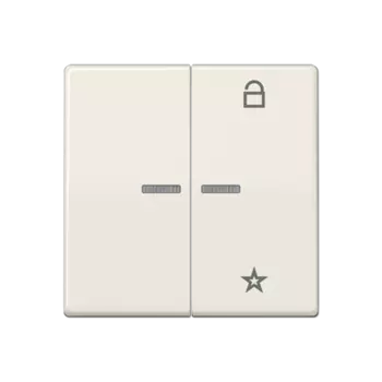 AS1701 АS 500 Центральная плата универсальная Jung Бежевый AS серия