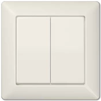 AS590-5 Клавиша для сдвоенного выключателя, с рамкой, сл.кость Jung AS серия