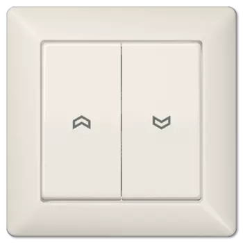 AS590-5P Клавиша для выключателя управл.жалюзи с рамкой, сл.кость Jung AS серия