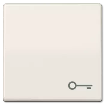 AS591T Клавиша с символом "ключ", сл.кость Jung AS серия