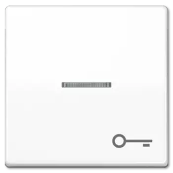 AS591TWW Клавиша с символом "ключ", бел. Jung AS серия