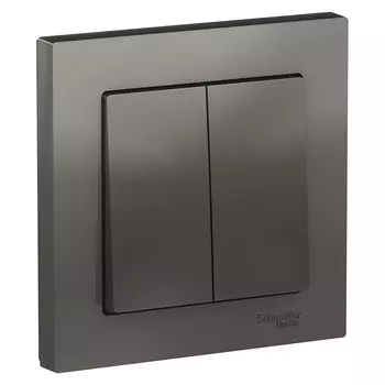 ATN000952 Atlasdesign 2-клавишный Выключатель, сх.5, 10АХ, в сборе, Сталь Schneider Electric