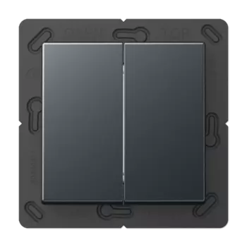 BLEA595ANM антрацит Выключатель с радиопередатчиком FRIENDS OF HUE Jung A серия