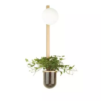 Бра Flower 4682/1WB Odeon Light