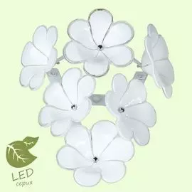 Бра Lussole Asinara GRLSA-5101-01