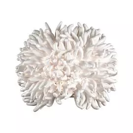 Бра Odeon Light Esma 2755/1W