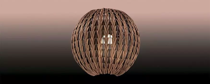 Бра Odeon Light Keni 2491/1W