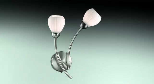 Бра с выключателем Odeon Light Akron 2469/2W