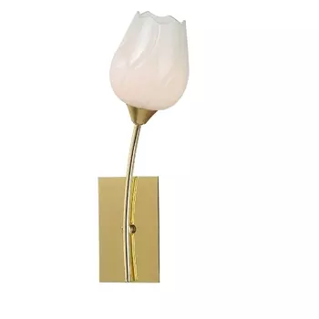 Бра Tulip A8292AP-1PB Arte Lamp