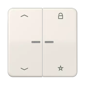 CD1701P CD 500/CD plus Центральная плата универсальная «стрелки» слоновая кость Jung