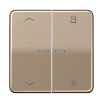 CD1701PGB CD 500/CD plus Центральная плата универсальная «стрелки» бронза Jung