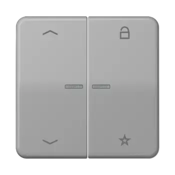 CD1701PGR CD 500/CD plus Центральная плата универсальная «стрелки» серый Jung