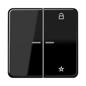 CD1701SW CD 500/CD plus Центральная плата универсальная черный Jung