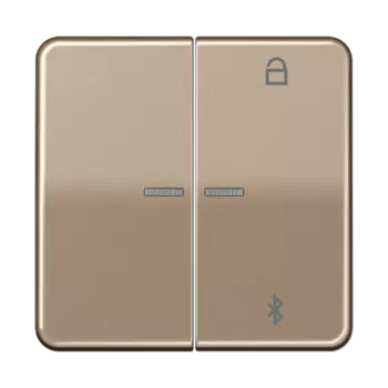 CD1751BTGB CD 500/CD plus Таймер универсальный Bluetooth бронза Jung