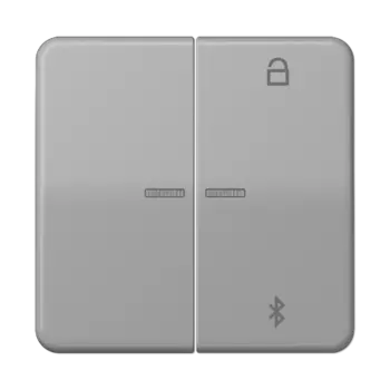 CD1751BTGR CD 500/CD plus Таймер универсальный Bluetooth серый Jung