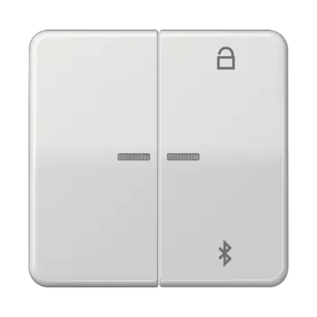 CD1751BTLG CD 500/CD plus Таймер универсальный Bluetooth светло-серый Jung