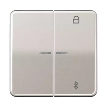 CD1751BTPT CD 500/CD plus Таймер универсальный Bluetooth платина Jung