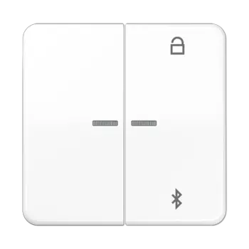 CD1751BTWW CD 500/CD plus Таймер универсальный Bluetooth белый Jung