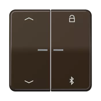 CD1751PBTBR CD 500/CD plus Таймер универсальный Bluetooth «стрелки» коричневый Jung