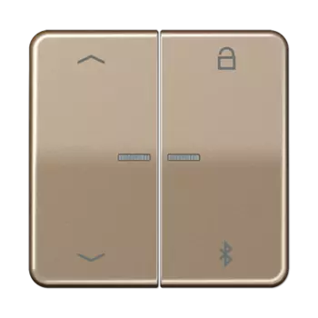 CD1751PBTGB CD 500/CD plus Таймер универсальный Bluetooth «стрелки» бронза Jung