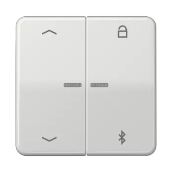 CD1751PBTLG CD 500/CD plus Таймер универсальный Bluetooth «стрелки» светло-серый Jung