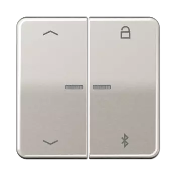 CD1751PBTPT CD 500/CD plus Таймер универсальный Bluetooth «стрелки» платина Jung