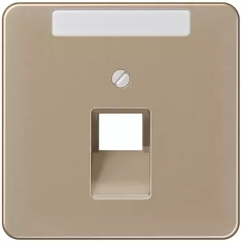 CD569-1NAUAGB CD 500/CD plus Бронза Накладка 1-ой наклонной ТЛФ/комп розетки с полем для надписи Jung