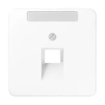 CD569-1NAUAWW CD 500/CD plus Белый Накладка 1-ой наклонной ТЛФ/комп розетки с полем для надписи Jung