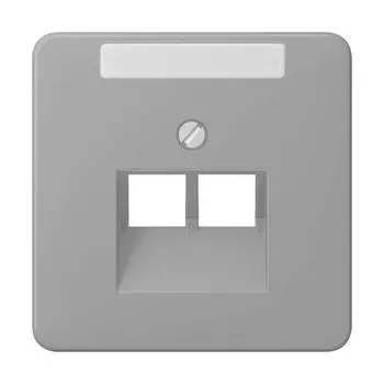 CD569-2NAUAGR CD 500/CD plus Серый Накладка 2-ой наклонной ТЛФ/комп розетки с полем для надписи Jung