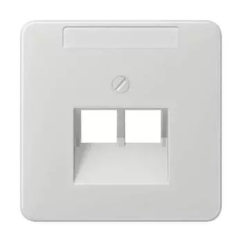 CD569-2NAUALG CD 500/CD plus Светло-серый Накладка 2-ой наклонной ТЛФ/комп розетки с полем для надписи Jung