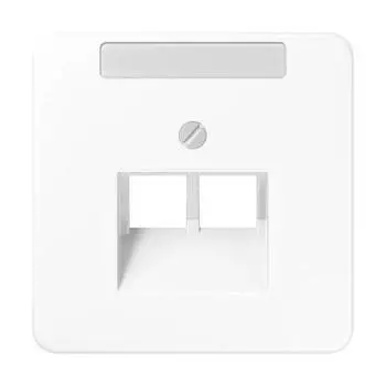 CD569-2NAUAWW CD 500/CD plus Белый Накладка 2-ой наклонной ТЛФ/комп розетки с полем для надписи Jung