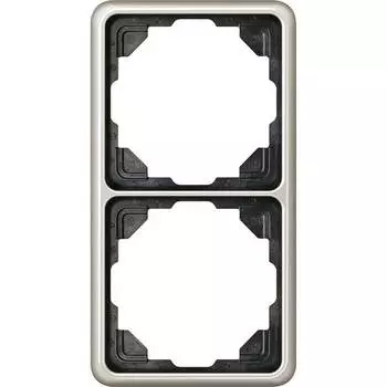 CD582PT Рамка CD 500 Платина 2-постовая Jung