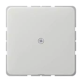 CD590ALG CD 500/CD plus Светло-серый Вывод кабеля Jung