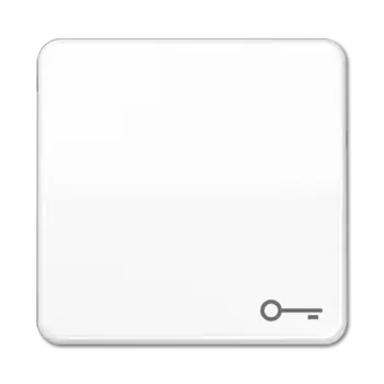 CD590BFTWW CD ударопр. Белый Клавиша для 1-я с символом "КЛЮЧ" Jung