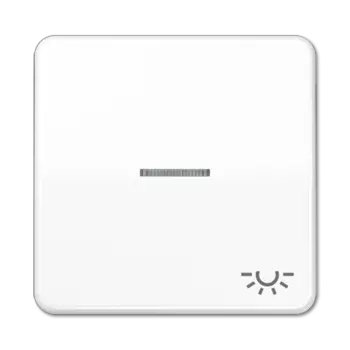 CD590KO5LWW CD 500/CD plus Белый Клавиша 1-я с/п с символом "ОСВЕЩЕНИЕ" Jung