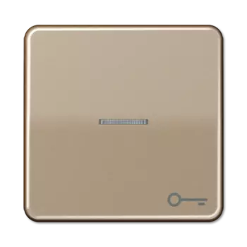 CD590KO5TGB CD 500/CD plus Бронза Клавиша 1-я с/п с символом "КЛЮЧ" Jung