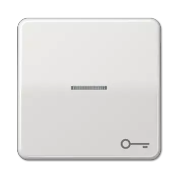 CD590KO5TLG CD 500/CD plus Светло-серый Клавиша 1-я с/п с символом "КЛЮЧ" Jung