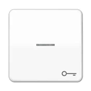 CD590KO5TWW CD 500/CD plus Белый Клавиша 1-я с/п с символом "КЛЮЧ" Jung