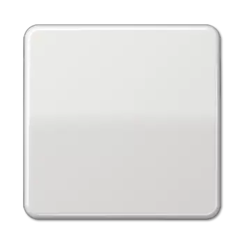 CD590LG CD 500/CD plus Светло-серый Клавиша 1-я Jung