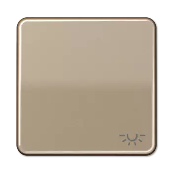 CD590LGB CD 500/CD plus Бронза Клавиша 1-я с символом "ОСВЕЩЕНИЕ" Jung