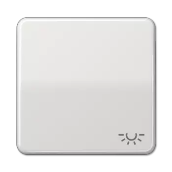 CD590LLG CD 500/CD plus Светло-серый Клавиша 1-я с символом "ОСВЕЩЕНИЕ" Jung