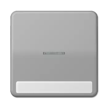 CD590NAKO5GR CD 500/CD plus Серый Клавиша 1-я с/п с полем для надписи Jung