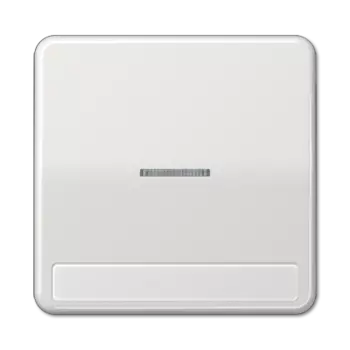 CD590NAKO5LG CD 500/CD plus Светло-серый Клавиша 1-я с/п с полем для надписи Jung