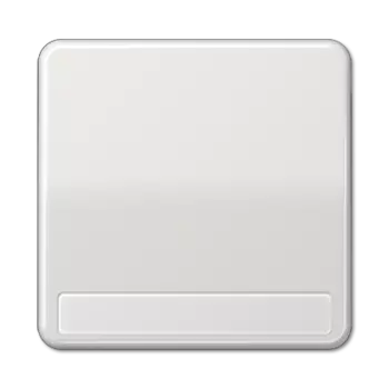 CD590NALG CD 500/CD plus Светло-серый Клавиша 1-я с полем для надписи Jung