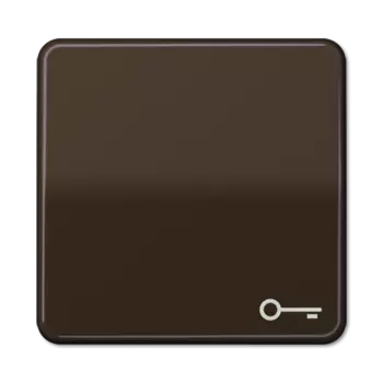 CD590TBR CD 500/CD plus Коричневый Клавиша 1-я с символом "КЛЮЧ" Jung