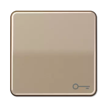 CD590TGB CD 500/CD plus Бронза Клавиша 1-я с символом "КЛЮЧ" Jung