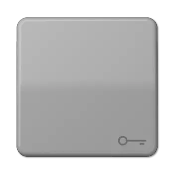 CD590TGR CD 500/CD plus Серый Клавиша 1-я с символом "КЛЮЧ" Jung