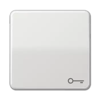 CD590TLG CD 500/CD plus Светло-серый Клавиша 1-я с символом "КЛЮЧ" Jung