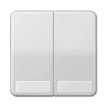 CD595NALG CD 500/CD plus Светло-серый Клавиша 2-я с полем для надписи Jung