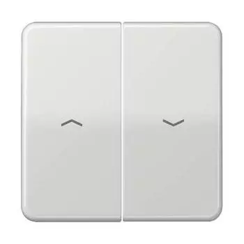 CD595PBFLG CD ударопр. Светло-серый Клавиша 2-я жалюзийная Jung